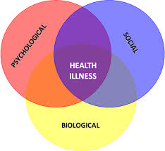Holistic approach to health 